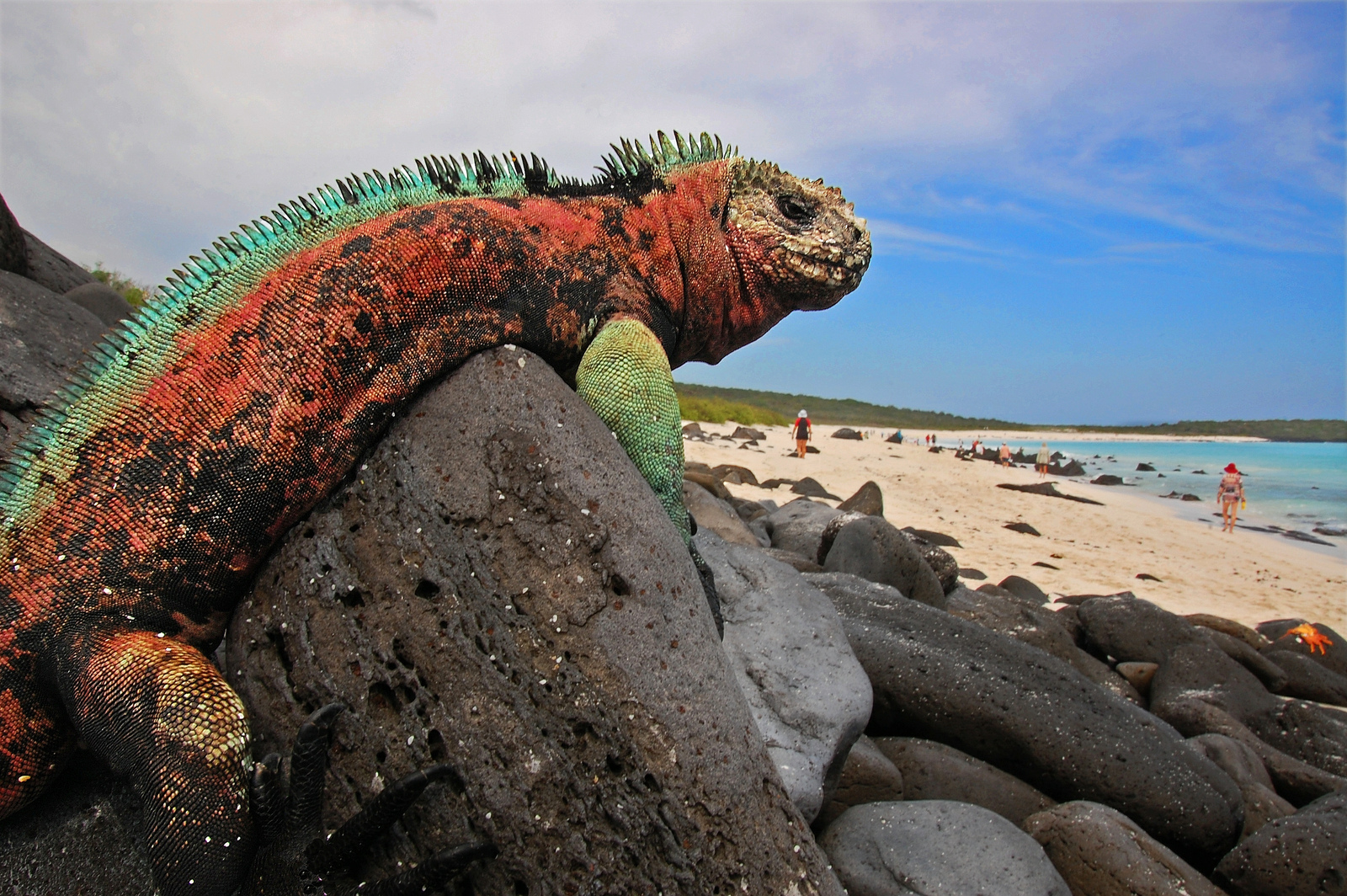 Islas Galapagos - Ecuador